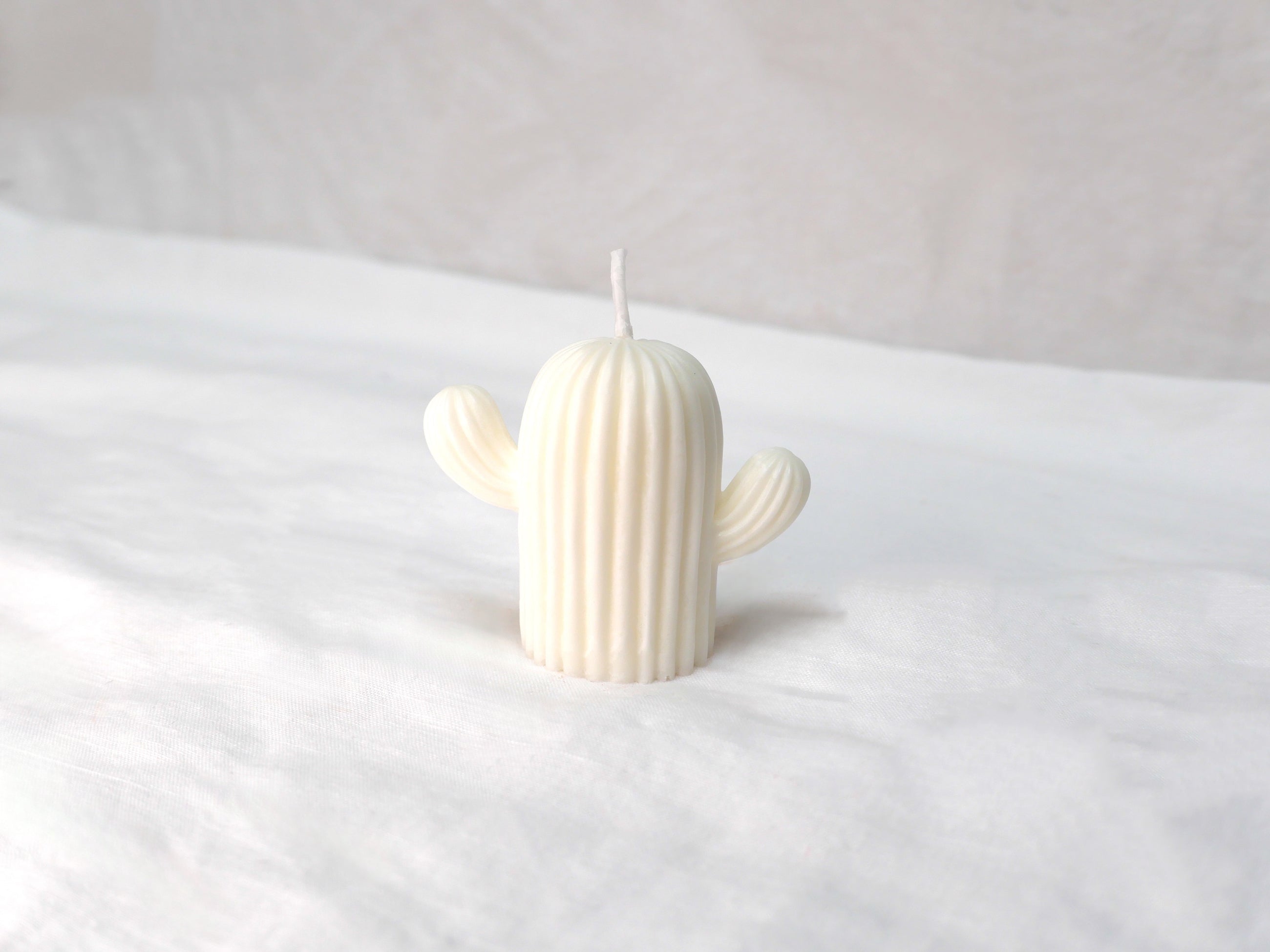 Cactus Candle in Soy White