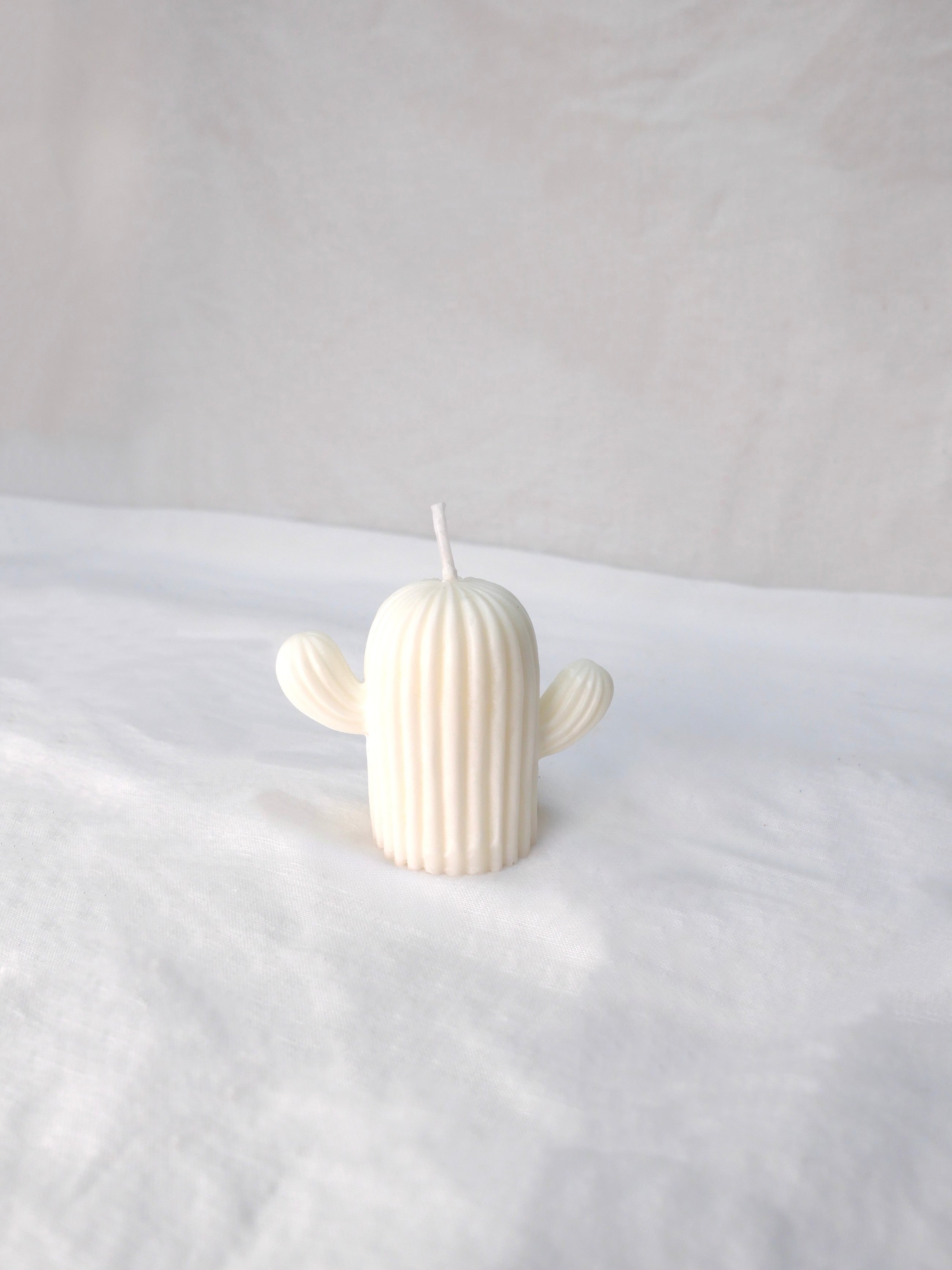 Cactus Candle in Soy White