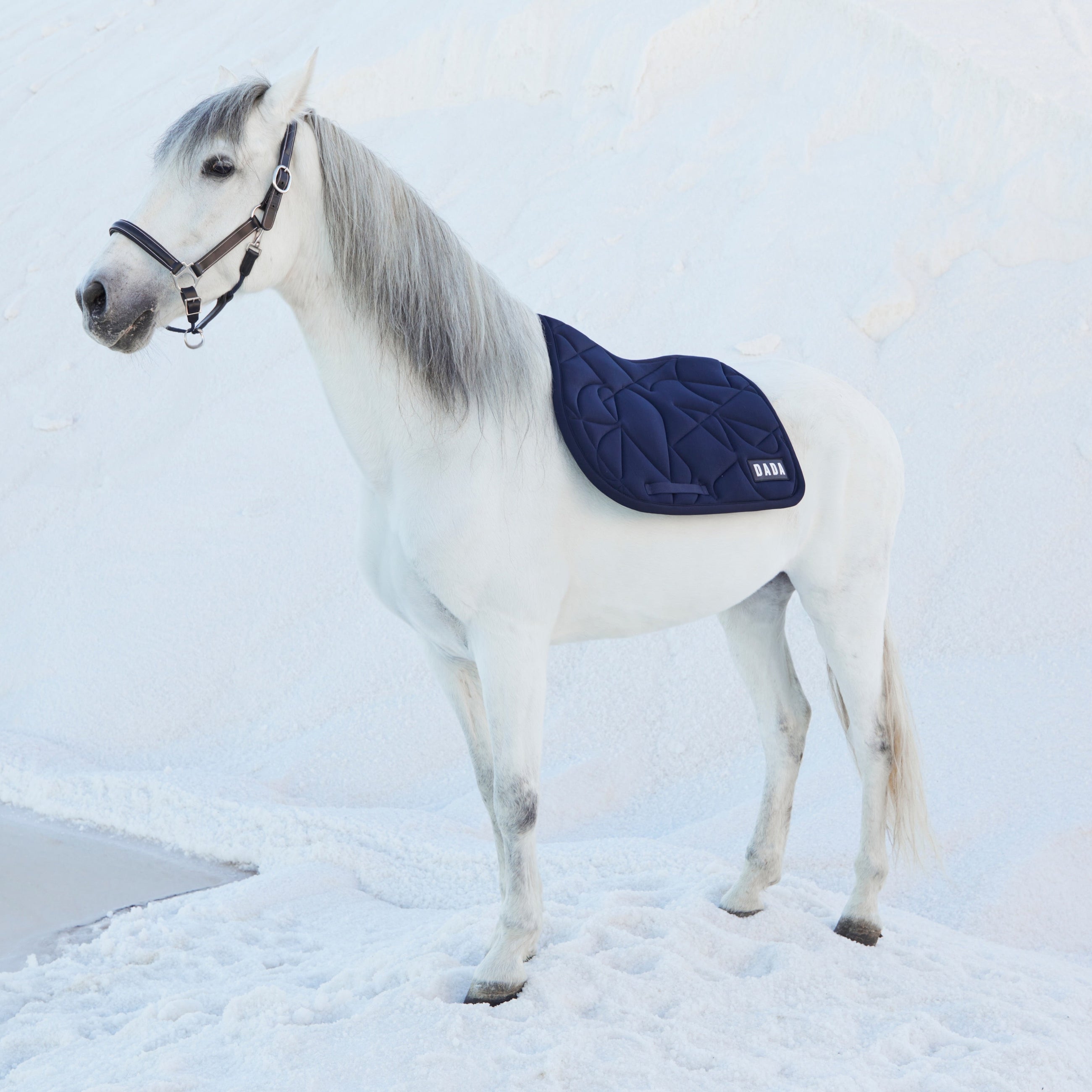 Fit for Fun Saddle Pad in Navy