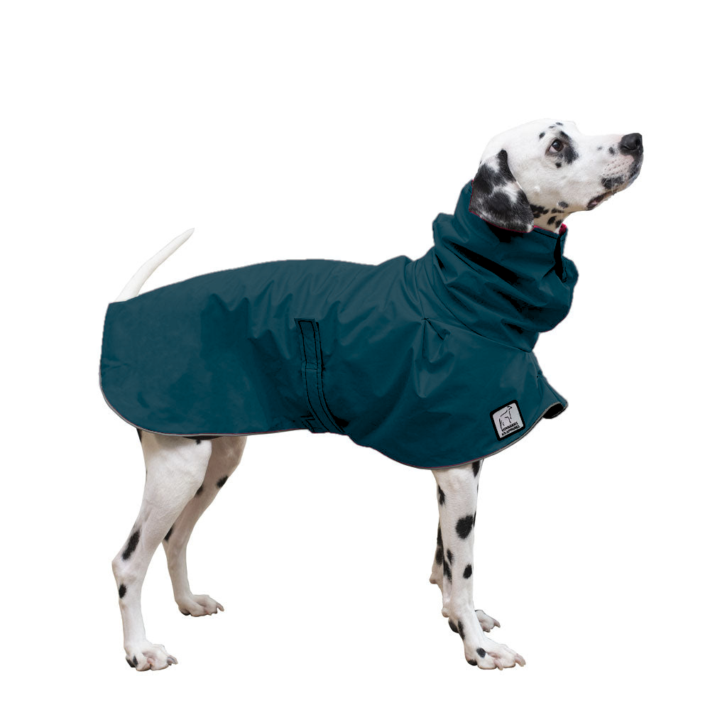 Dalmatian Raincoat in Dark Teal