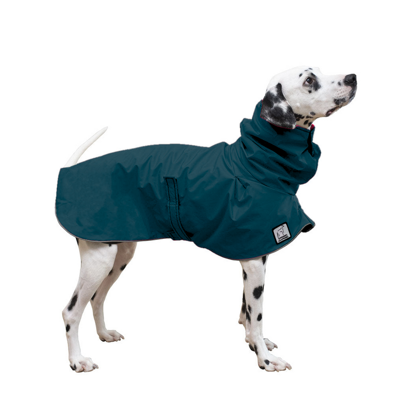 Dalmatian Raincoat in Dark Teal
