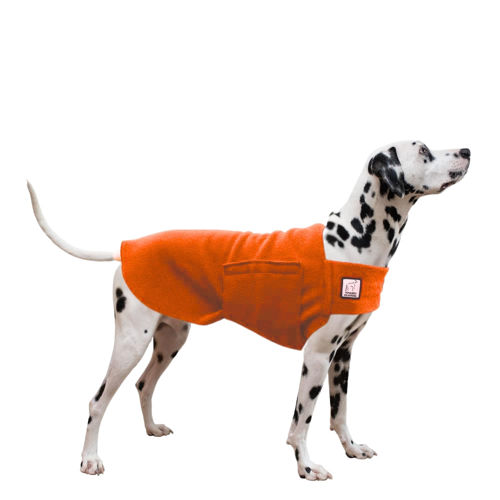 Dalmatian Tummy Warmer in Orange