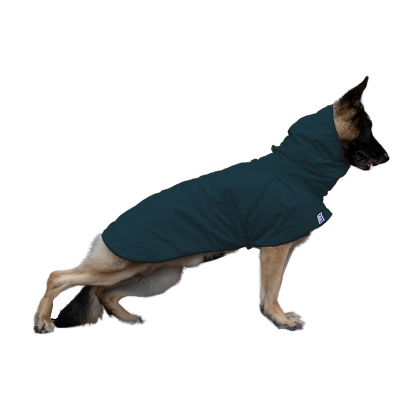 German Shepherd Raincoat in Dark Teal