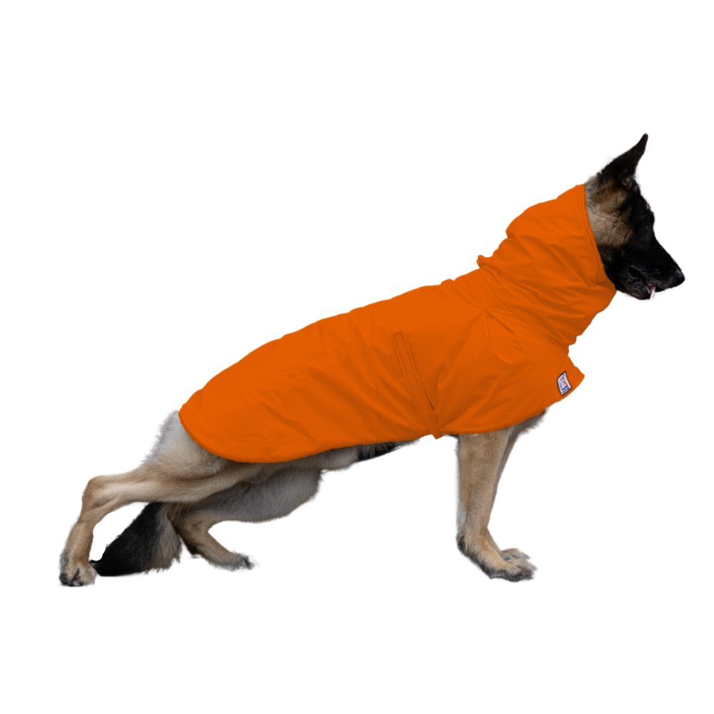 German Shepherd Raincoat in Orange