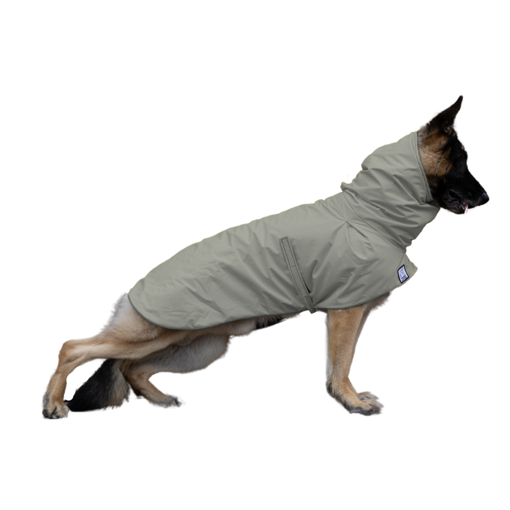 German Shepherd Raincoat in Silver Sage