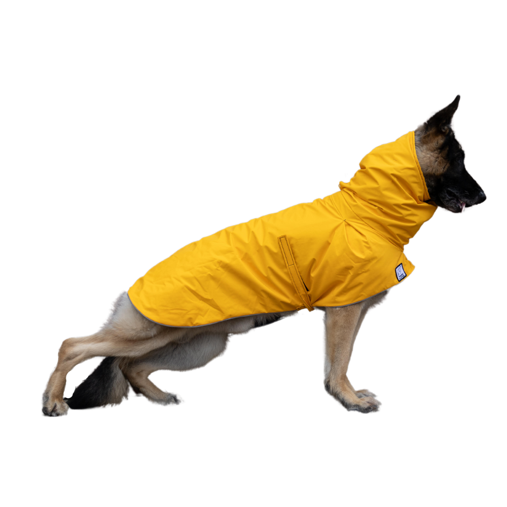 German Shepherd Raincoat in Yellow