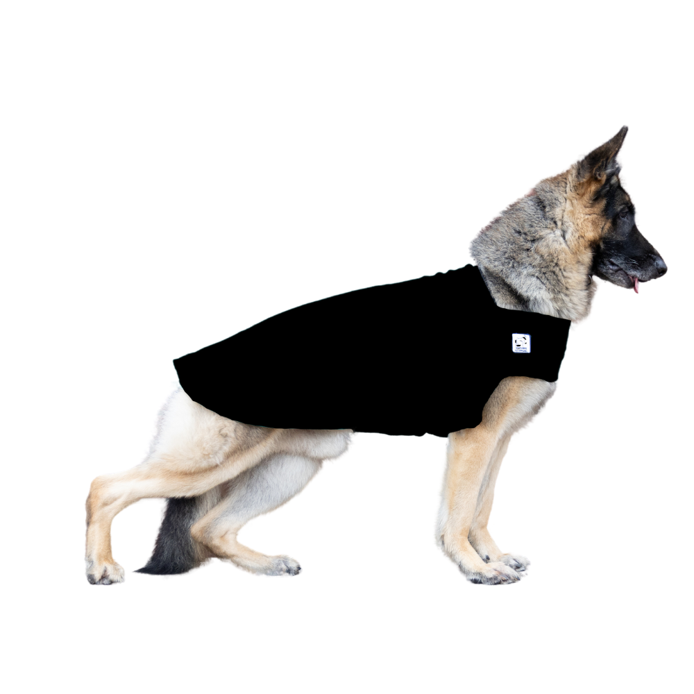 German Shepherd Tummy Warmer in Black