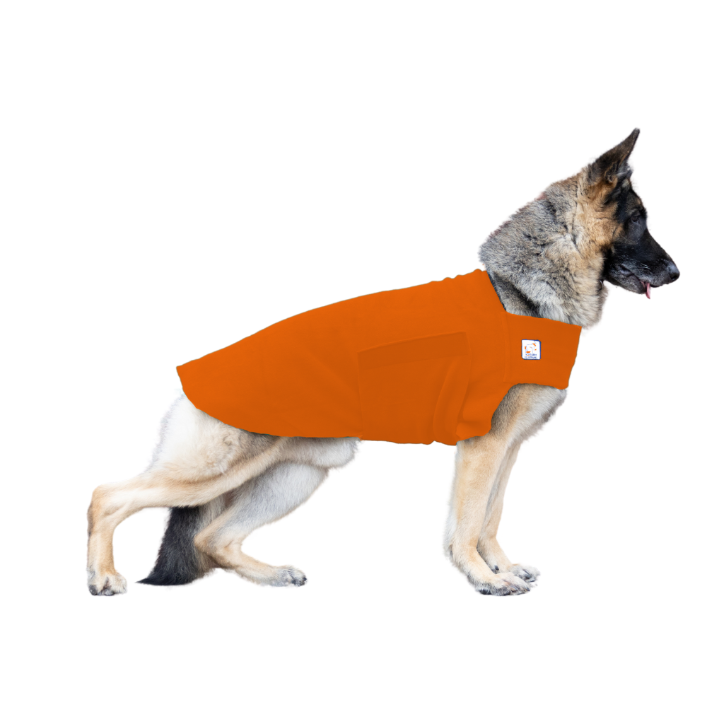 German Shepherd Tummy Warmer in Orange
