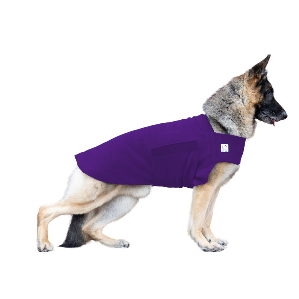 German Shepherd Tummy Warmer in Purple