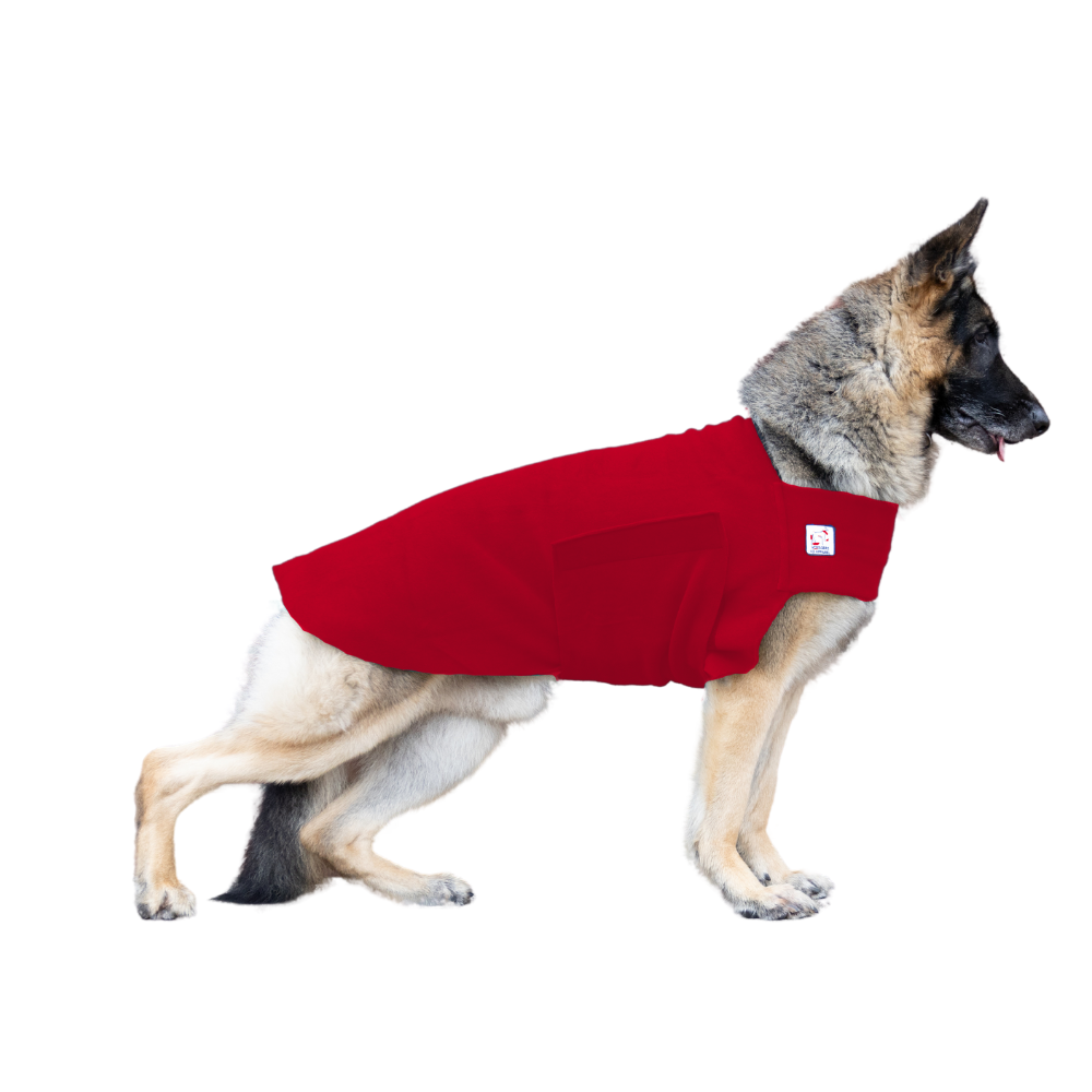 German Shepherd Tummy Warmer in Red