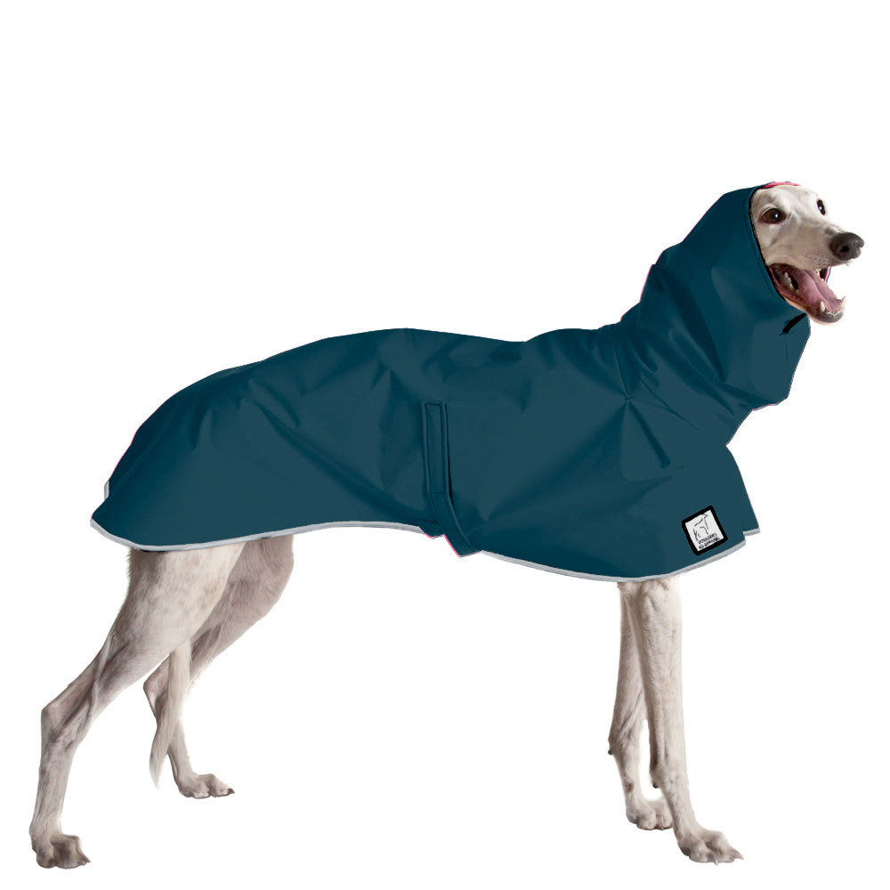 Greyhound Raincoat in Dark Teal