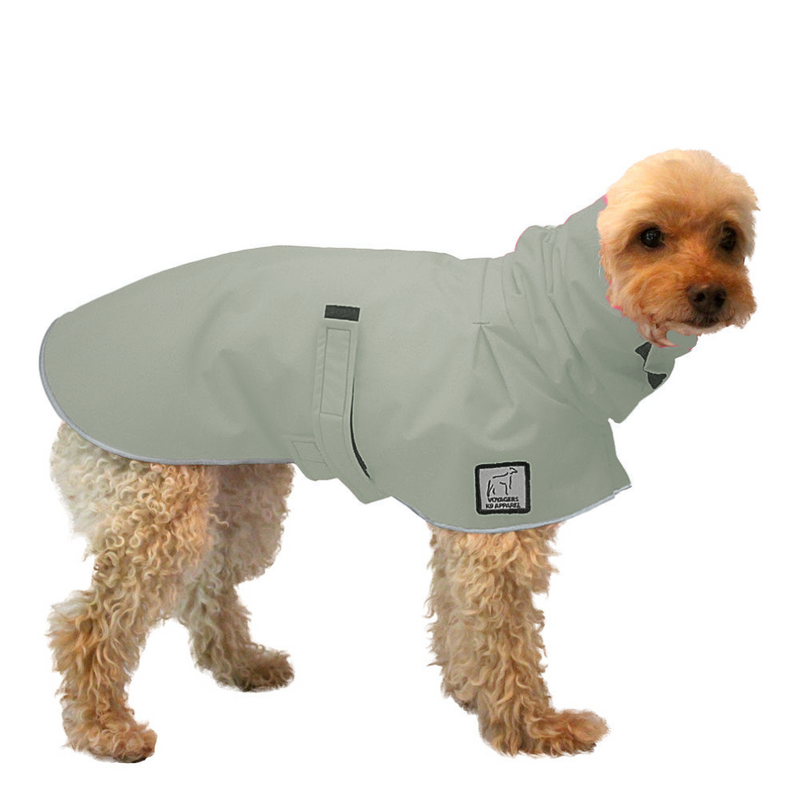 Miniature Poodle Raincoat in Silver Sage