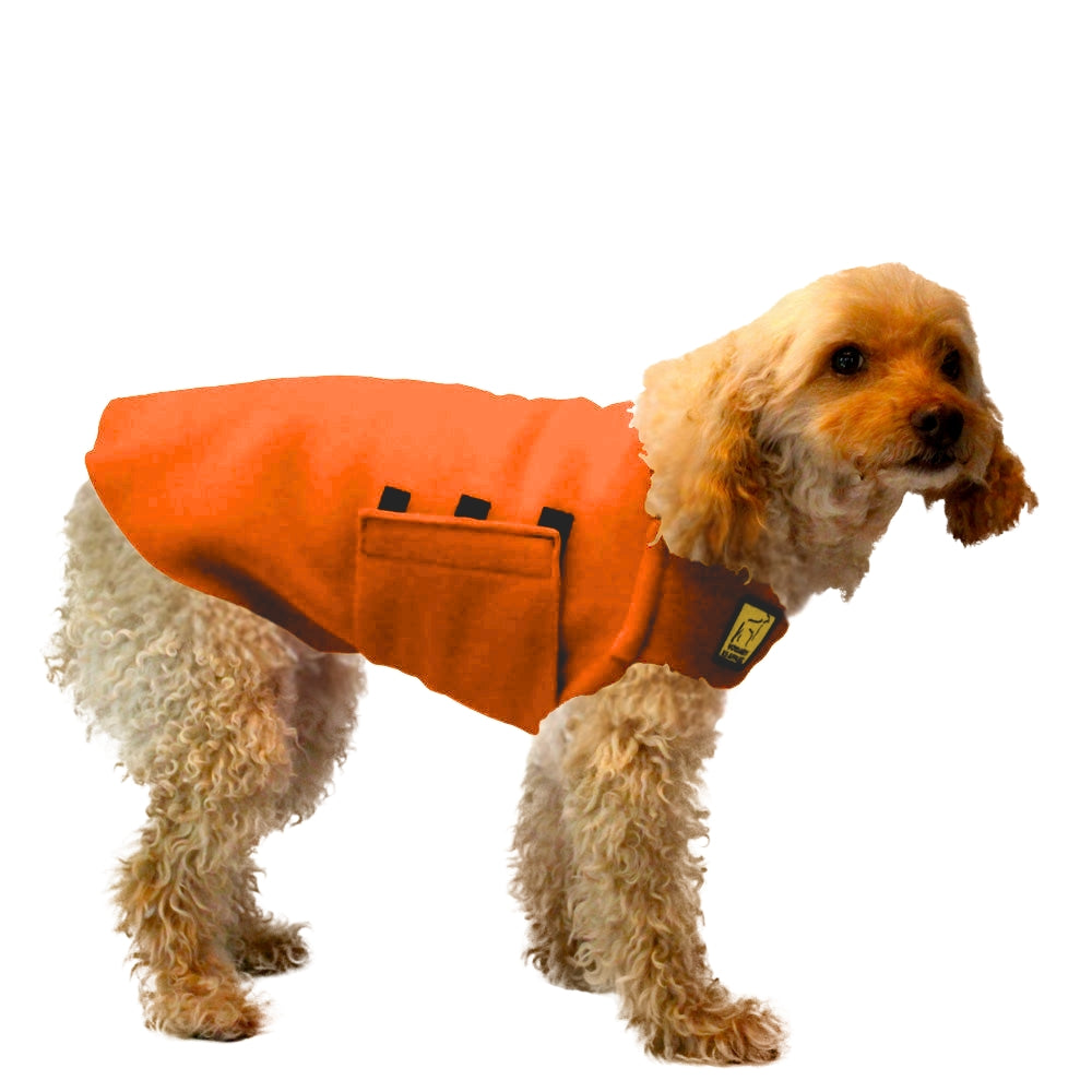 Miniature Poodle Tummy Warmer in Orange