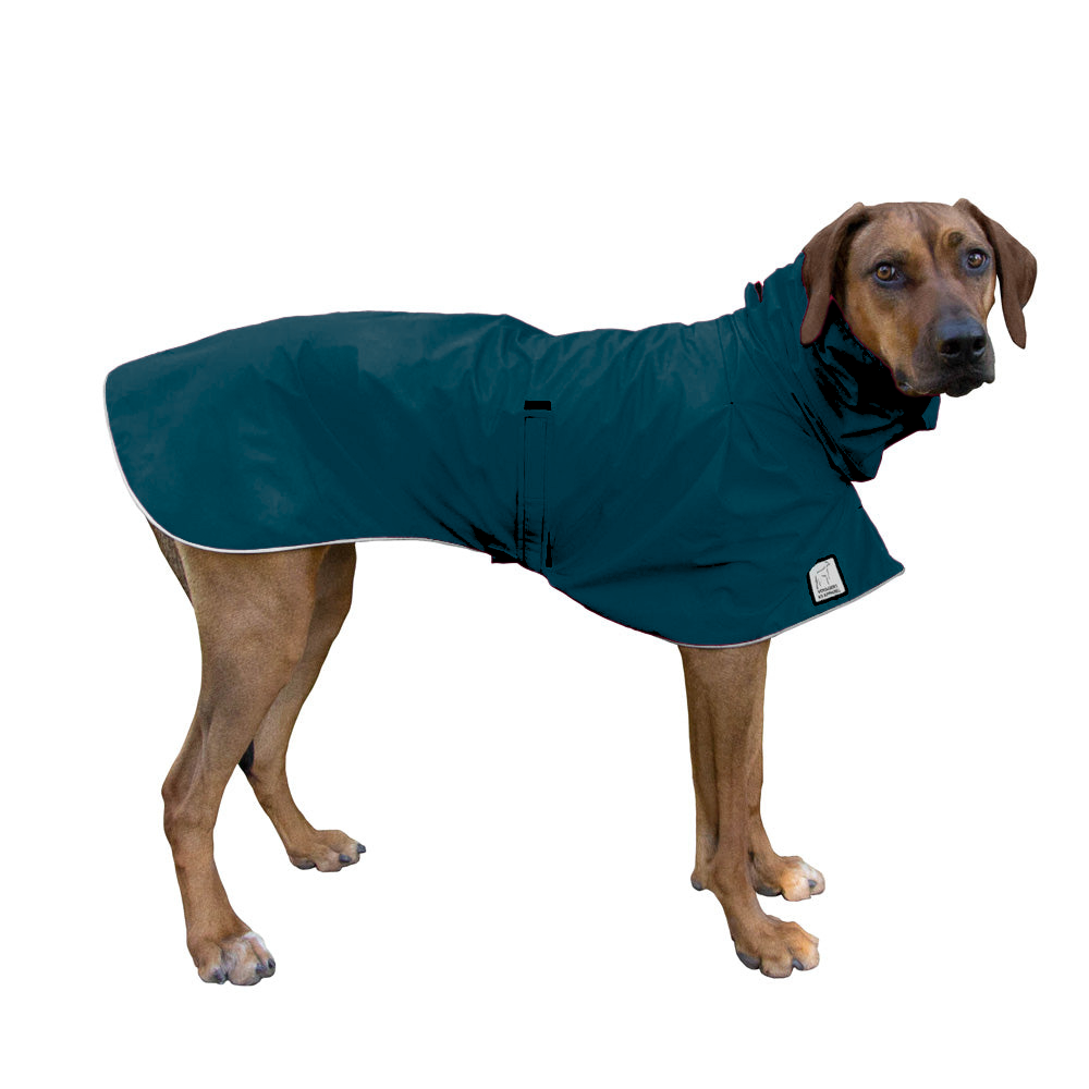 Rhodesian Ridgeback Raincoat in Dark Teal