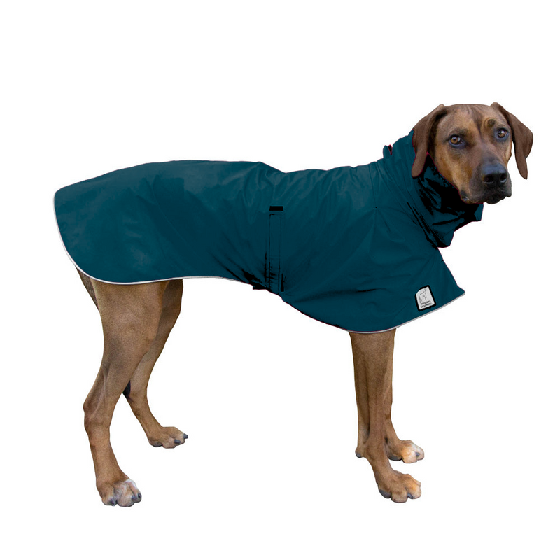 Rhodesian Ridgeback Raincoat in Dark Teal