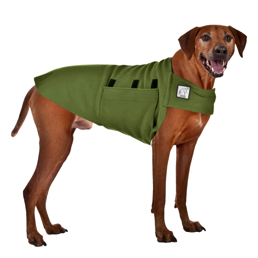 Rhodesian Ridgeback Tummy Warmer in Moss