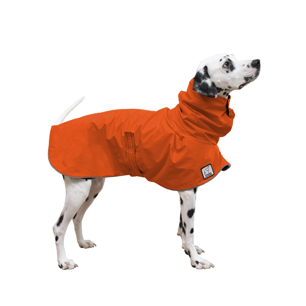 Dalmatian Raincoat in Orange