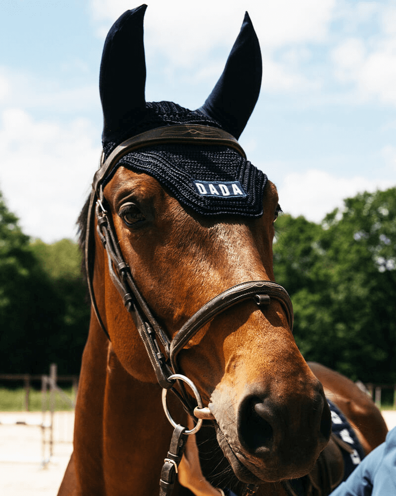Polias Ear Bonnet in Navy