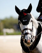 Polias Ear Bonnet in Black
