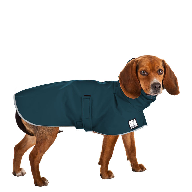 Beagle Raincoat in Dark Teal
