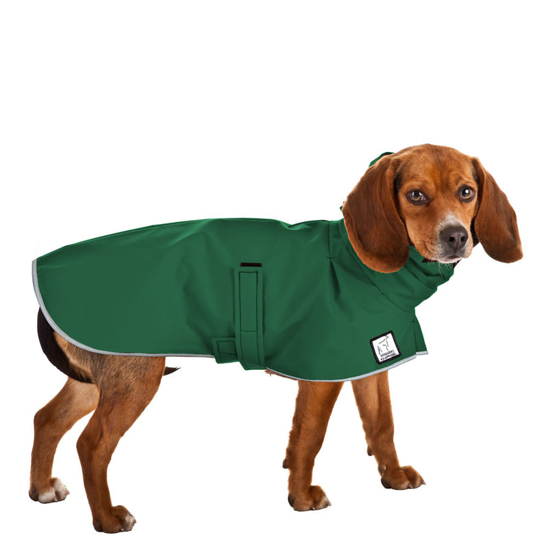 Beagle Raincoat in Green