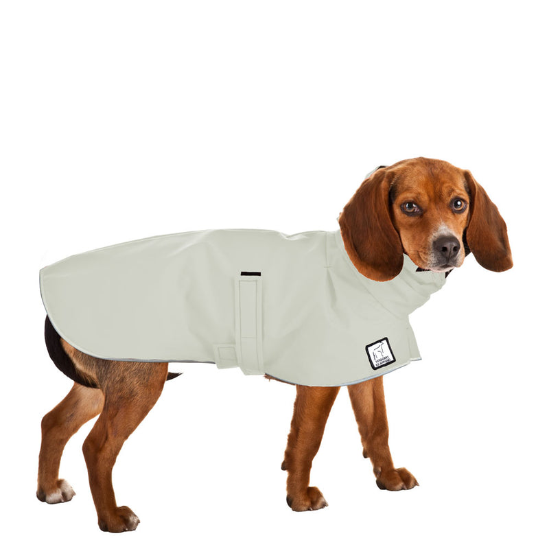 Beagle Raincoat in Silver Sage