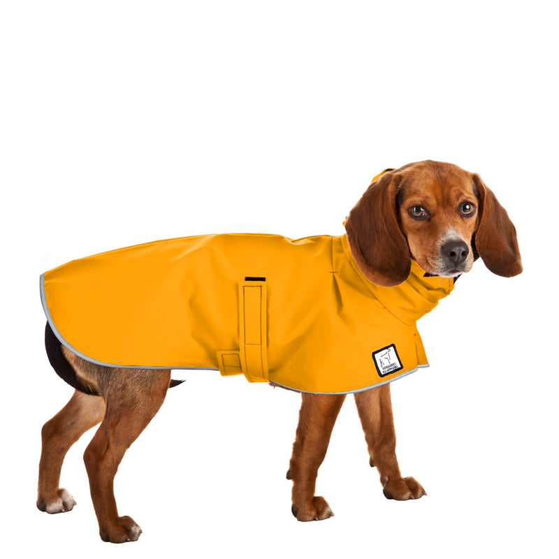 Beagle Raincoat in Yellow