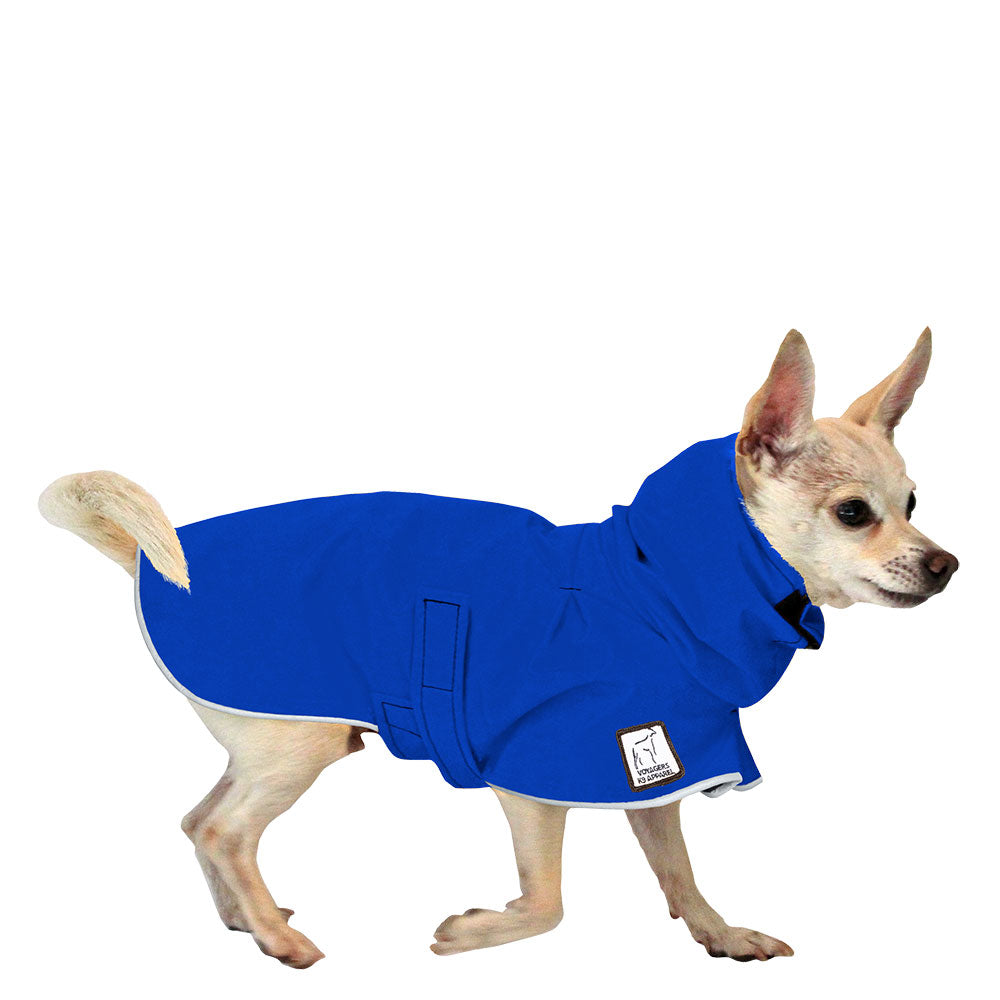 Chihuahua Raincoat in Cobalt Blue