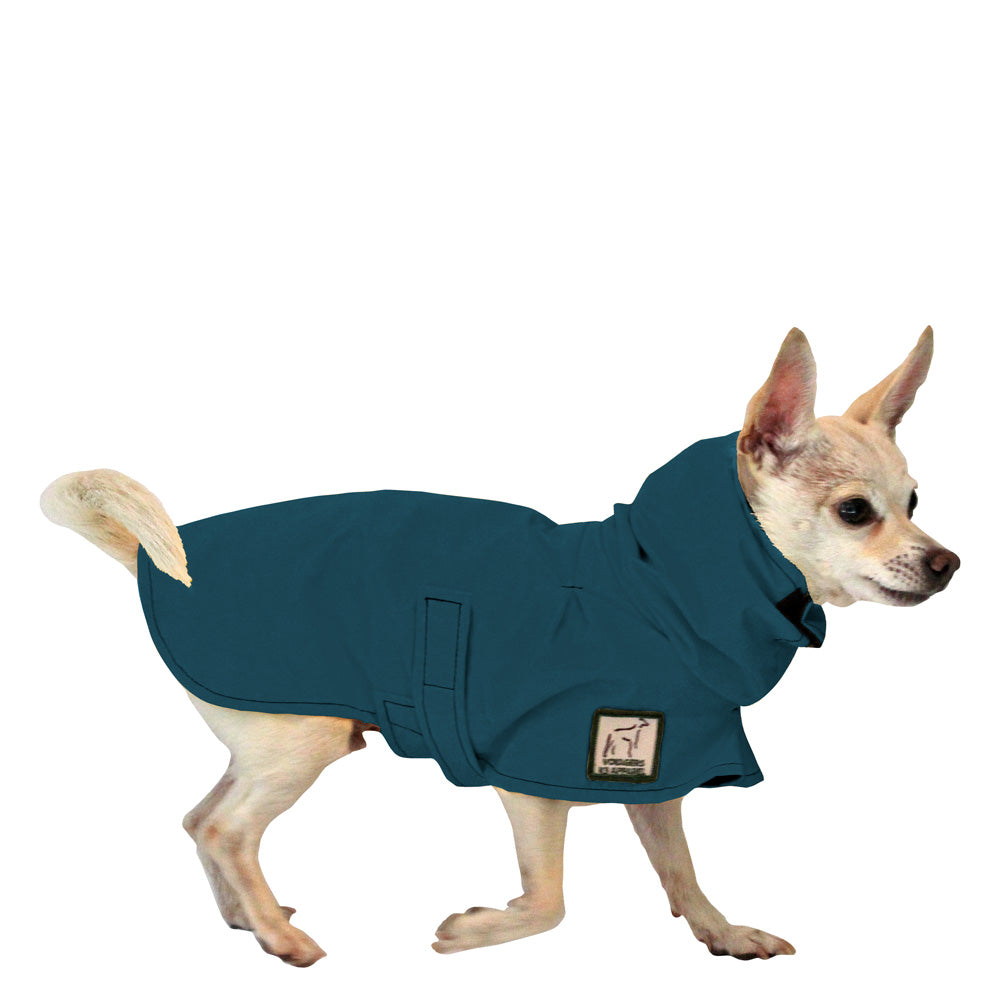 Chihuahua Raincoat in Dark Teal