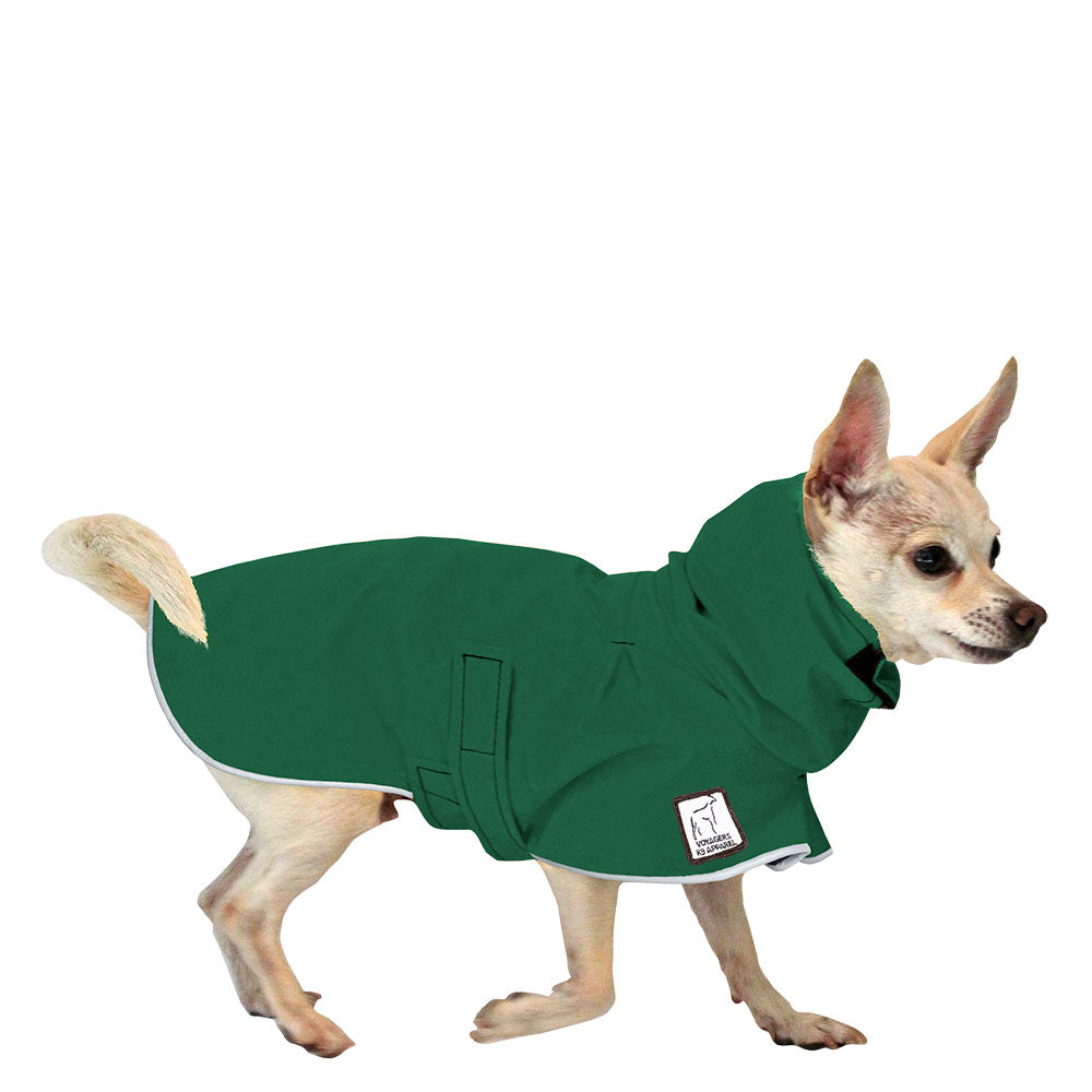 Chihuahua Raincoat in Green