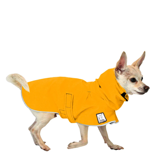 Chihuahua Raincoat in Yellow