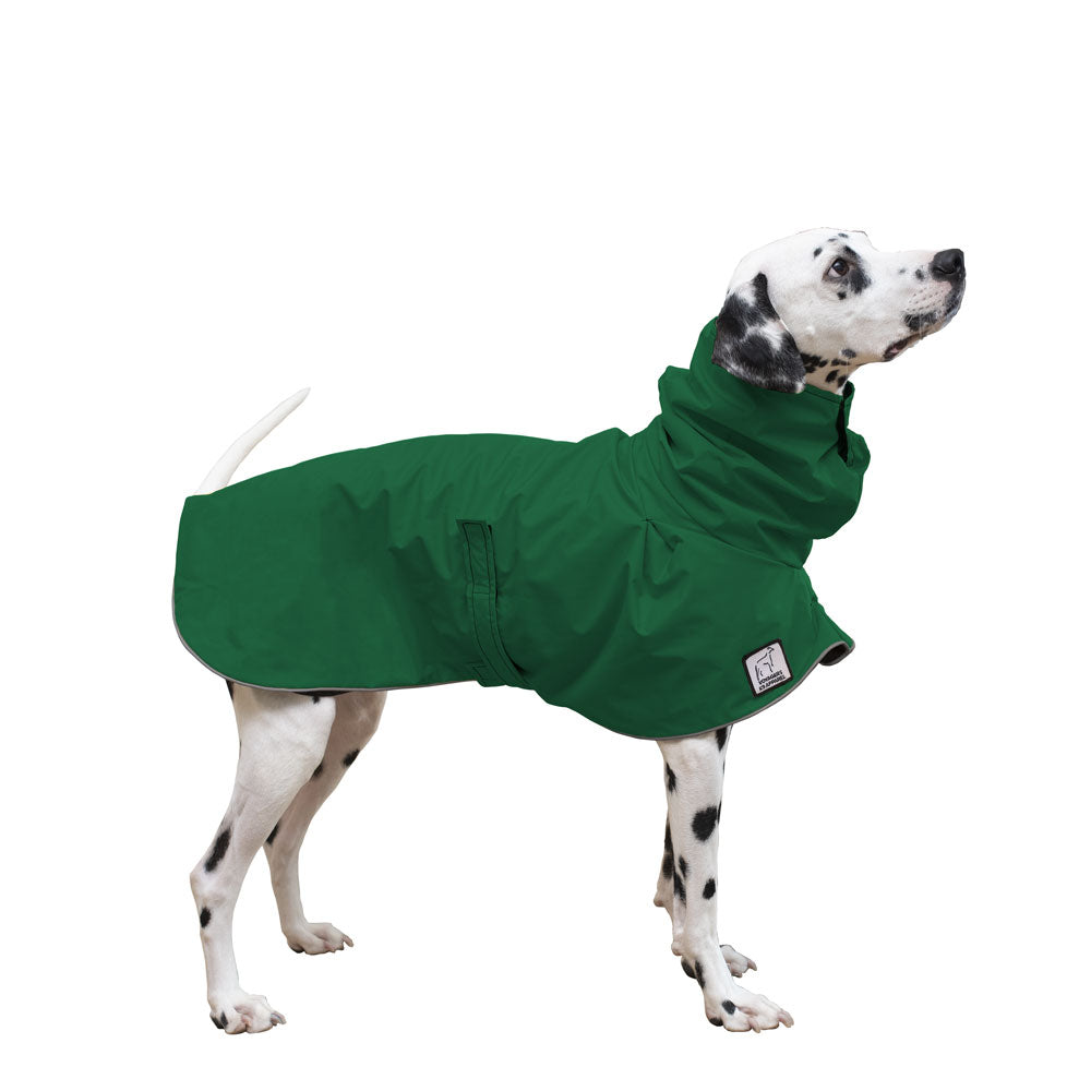 Dalmatian Raincoat in Green