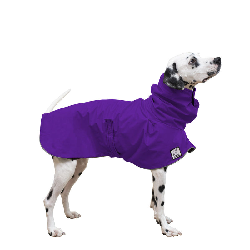 Dalmatian Raincoat in Violet