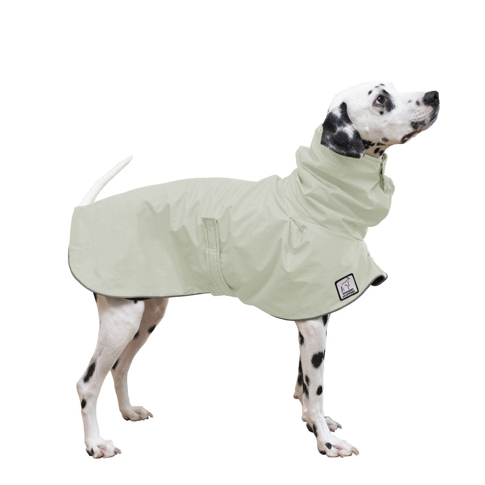 Dalmatian Raincoat in Silver Sage
