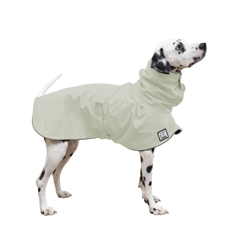 Dalmatian Raincoat in Silver Sage
