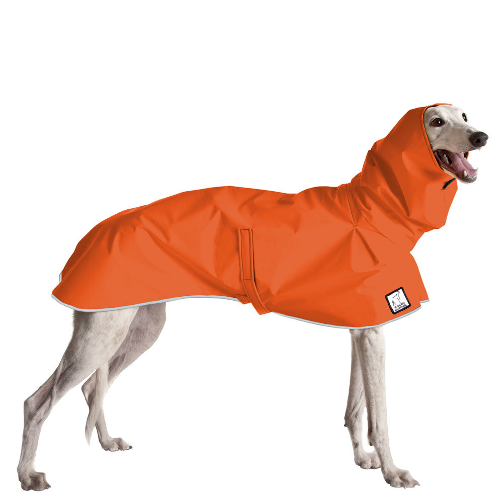 Greyhound Raincoat in Orange