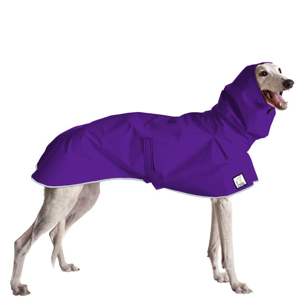 Greyhound Raincoat in Violet
