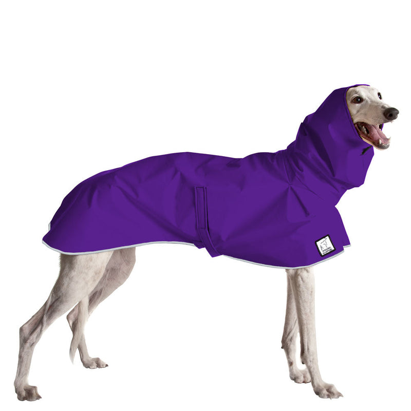 Greyhound Raincoat in Violet