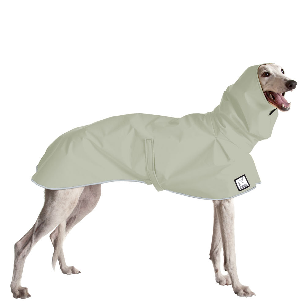 Greyhound Raincoat in Silver Sage