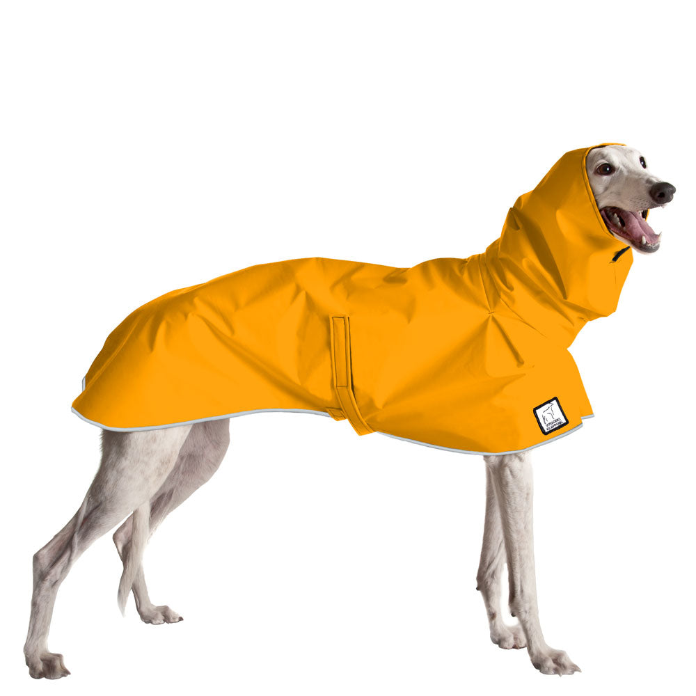 Greyhound Raincoat in Yellow