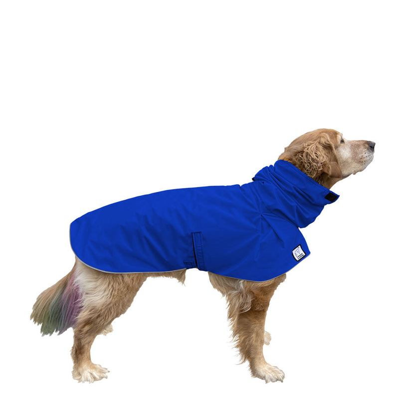 Golden Retriever Raincoat in Cobalt Blue