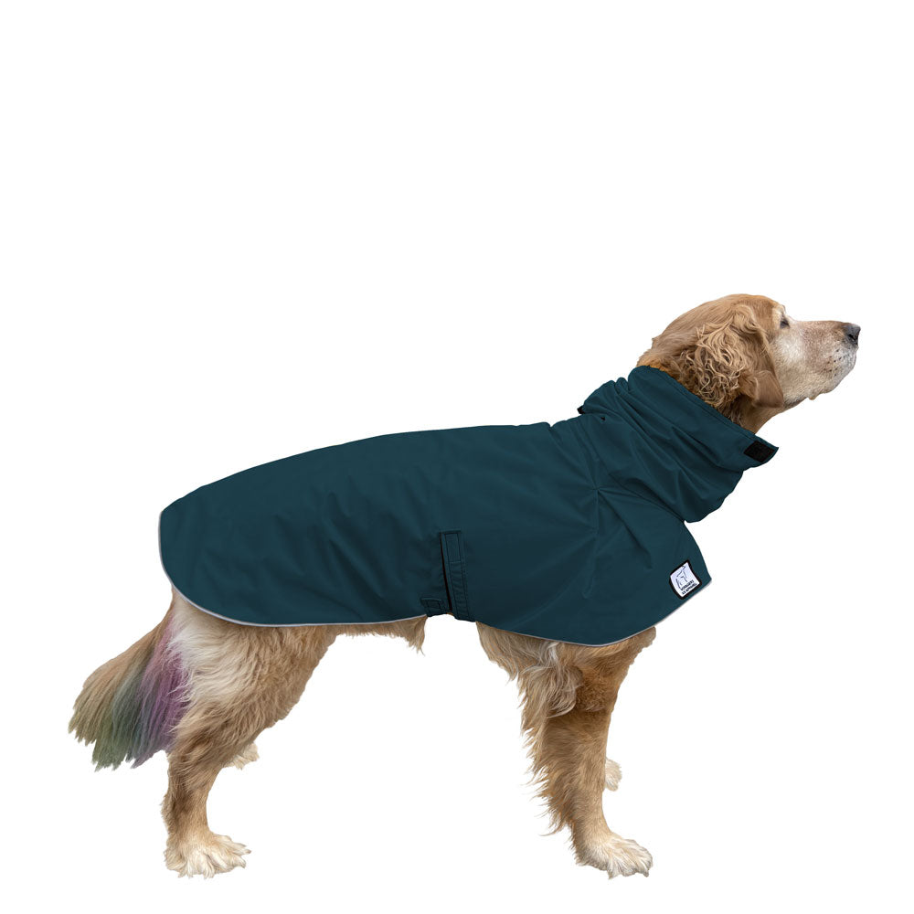 Golden Retriever Raincoat in Dark Teal