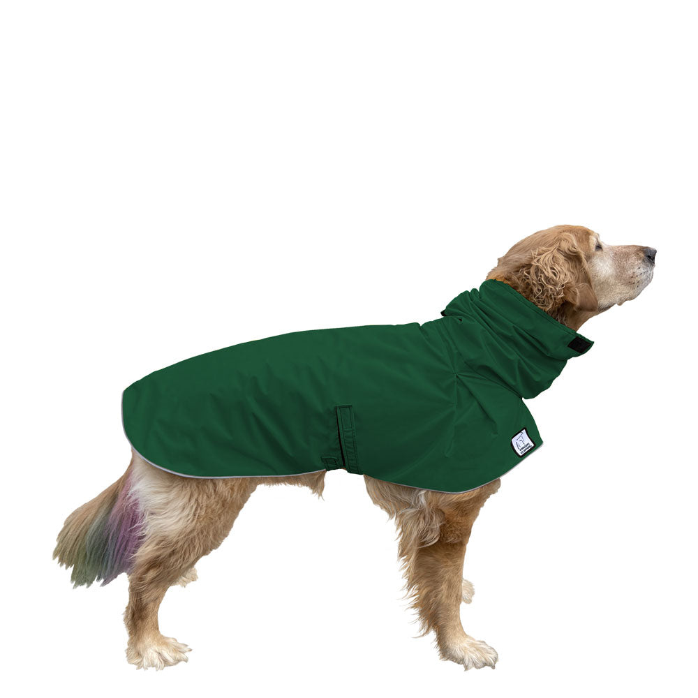 Golden Retriever Raincoat in Green
