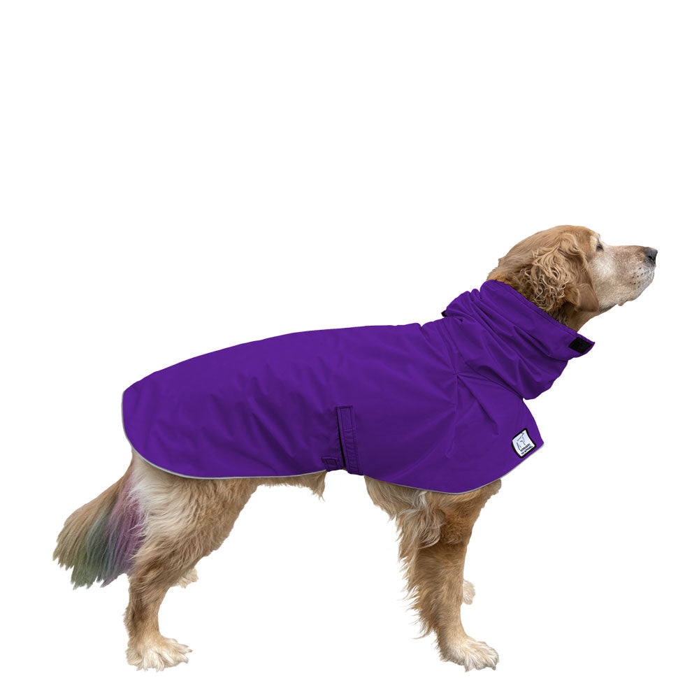 Golden Retriever Raincoat in Violet