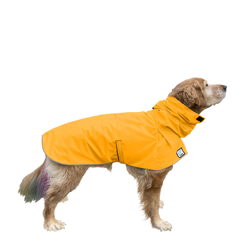 Golden Retriever Raincoat in Yellow