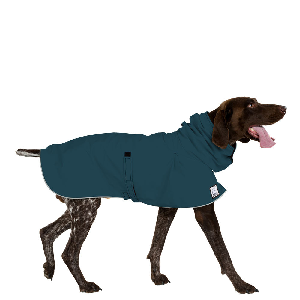 German Shorthaired Pointer Raincoat in Dark Teal