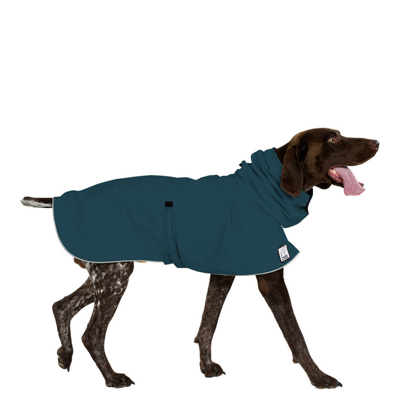 German Shorthaired Pointer Raincoat in Dark Teal