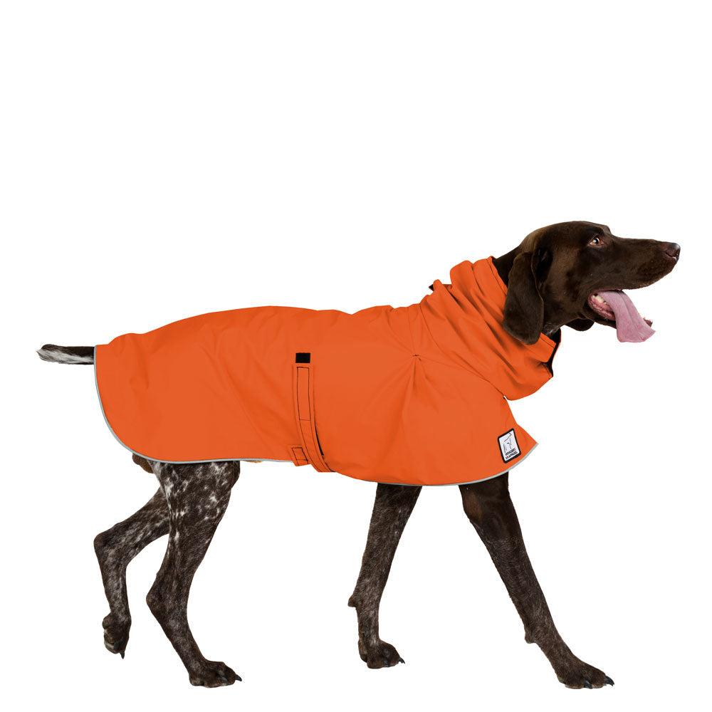 German Shorthaired Pointer Raincoat in Orange
