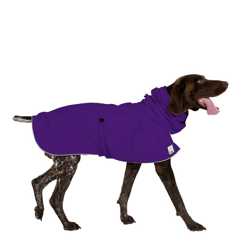 German Shorthaired Pointer Raincoat in Violet