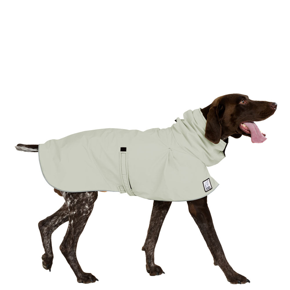 German Shorthaired Pointer Raincoat in Silver Sage